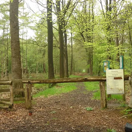 Holiday home In A Quiet Location Nearby The Woods *
