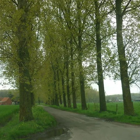 In A Quiet Location Nearby The Woods
